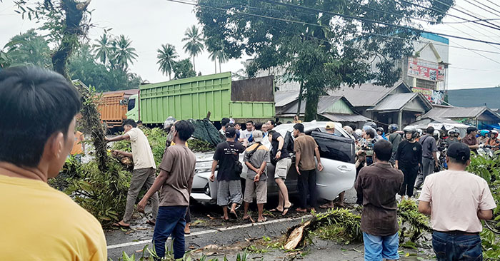 TERTIMPA POHON— Mobil Avanza ringsek tertimpa pohon di Jorong Pasaman Baru, Nagari Lingkuang Aua, Kecamatan Pasaman, 
Kabupaten Pasbar.