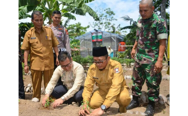 TAMBAHAN PUPUK— Wako Padang Hendri Septa saat melakukan gerakan menanam cabai, beberapa waktu lalu. Saat ini Kementan akan memberikan tambahan alokasi pupuk bersubsudi untuk petani di Kota Padang.