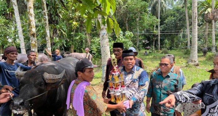 Kontes Kerbau Gadang