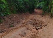 Warga Sungai Siriah Butuh Perbaikan Jalan