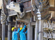 Pendapatan PLN Tumbuh Signifikan Mencapai Rp487 Triliun, Ditopang Peningkatan Penjualan Tenaga Listrik