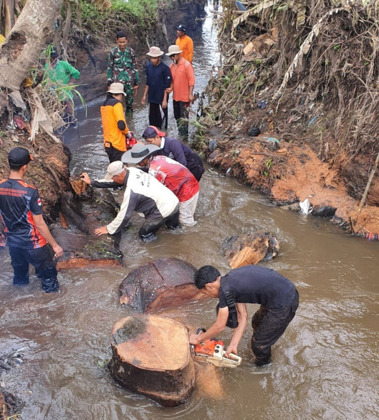 Dipenuhi Bongkahan Kayu, Sungai Gajah Tanang Dibersihkan 1 BERSIHKAN— Masyatakat dan petugas membersihkan aliran sungai Gajah Tanang yang dipenuhi bongkahan kayu.