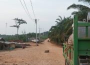 PLN Sukses Realisasikan PMN, Nyalakan 24 Jam Listrik di Wilayah 3T Riau