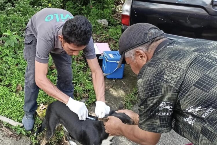 Dispangtan Berikan Vaksin Hewan Peliharaan di 16 Kelurahan 1 VAKSIN—Dinas Pangan dan Pertanian (Dispangtan) mengadakan kegiatan pemberian vaksin rabies gratis untuk Hewan Penular Rabies (HPR) yang dipelihara warga di 16 kelurahan.