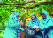 Ketua TP PKK Provinsi Sumbar Apresiasi TP PKK Nagari Sitalang