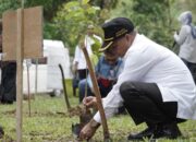 PT Supreme Energy, Tanam Bibit Pohon dan Donor Darah