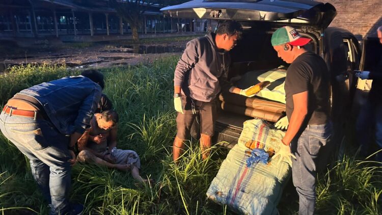 Oknum Polisi Berpangkat Aipda jadi Kurir Ganja, Ditangkap BNN hingga Kedapatan Bawa 141 Kg, Ngaku Diperintah Narapidana, Terima Uang Rp 2 Juta 1 KURIR GANJA— Tim BNNP Sumbar menangkap oknum Polisi berpangkat Aipda yang kedapatan membawa 141 Kg ganja kering dari Sumut.