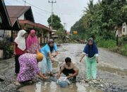 Tak Kunjung Diperbaiki, Warga Lepas Bibit Ikan di Jalan Berlubang