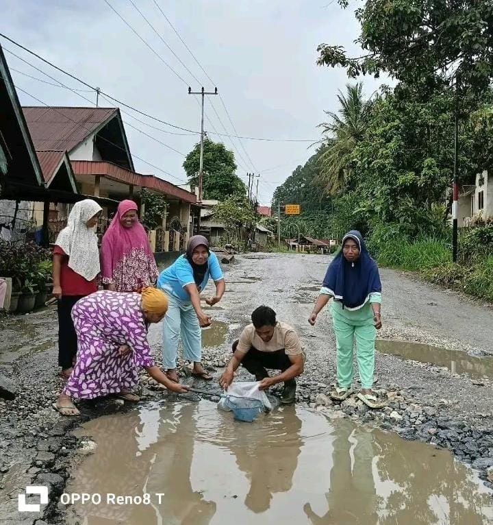Tak Kunjung Diperbaiki, Warga Lepas Bibit Ikan di Jalan Berlubang 1 Warga Lepas Bibit Ikan Dibadan Jalan Rusak Payakumbuh