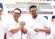 Bobby Nasution Ganti Seragam Jadi Kader Gerinda, Jokowi: Orang Tua hanya Mendoakan