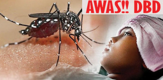 Satu Warga Meninggal Pasbar Tetapkan Status KLB Deman Berdarah 1 04 AWAS DBD