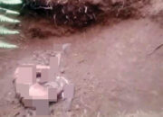 Pencari Brondolan Sawit Tewas di Lubang Bekas Galian Alat Berat