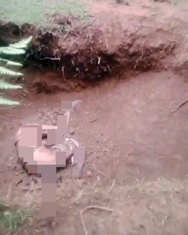 Pencari Brondolan Sawit Tewas di Lubang Bekas Galian Alat Berat 1 TEWAS— Pencari brondolan sawit ditemukan tewas di dalam lubang bekas galian alat berat di perkebunan sawit PT APM Plantation Tapian Kandih, Agam.