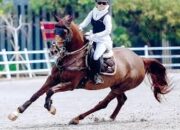 Sang Ayah Dikenal sebagai Host Kawakan, Buah Hati Irfan Hakim Malah Berkecimpung di Olahraga Berkuda