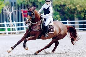 Sang Ayah Dikenal sebagai Host Kawakan, Buah Hati Irfan Hakim Malah Berkecimpung di Olahraga Berkuda 1 Aisha memamerkan kebolehannya berkuda. (DOKUMENTASI IRFAN HAKIM)