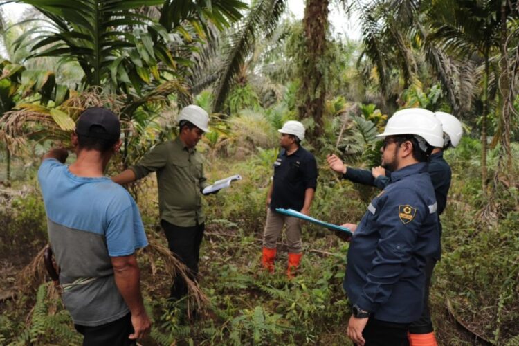 tinjauan--PT PLN UIP SBTdan Kementerian ESDM melaksanakan tinjauan bersama ke lokasi Proyek SUTT 150 kV Kuala Tungkal - Pelabuhan Dagang pada tanggal 20 - 21 Juni 2024.