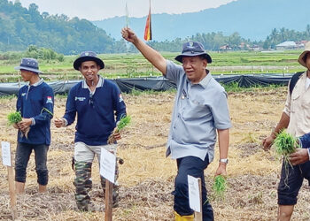 Dukung Kemandirian Ekonomi, Bupati Rusma Yul Anwar Tanam Perdana Padi Tanpa Olah Tanam Udara