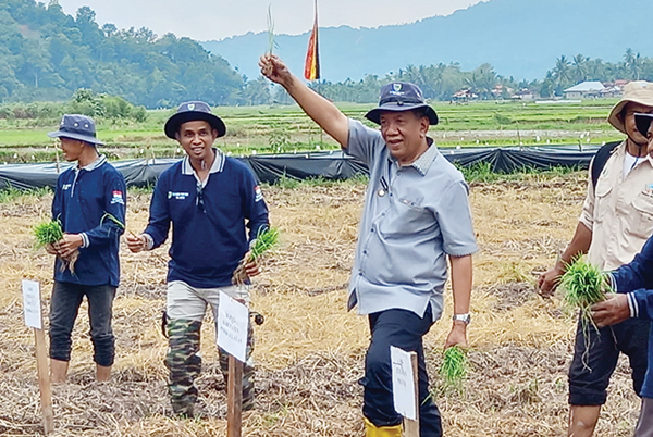 Dukung Kemandirian Ekonomi, Bupati Rusma Yul Anwar Tanam Perdana Padi Tanpa Olah Tanam Udara 1 BUPATI Pessel Rusma Yul Anwar, lakukan tanam perdana kegiatan sekolah lapang padi tanpa olah tanam udara bersih Indonesia.
