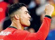 Peluang Portugal Juara di Euro 2024, Pundit Sepakbola Eropa Sebut Pemain ini Lebih Penting Daripada Cristiano Ronaldo