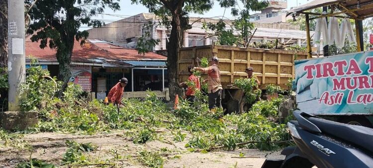 PEMANGAKASAN RUTIN— Personel DLH Kota Padang rutin melakukan perawatan dan pemangkasan pohon pelindung di berbagai lokasi jalan utama Kota Padang.  Pemangkasan pohon pelindung bisa dilakukan via pengaduan warga melalui surat ke DLH maupun via WA pengaduan online DLH.