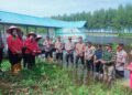 Kapolres Pessel Bersama Forkompinca Sutera Tanam 1000 Batang Mangrove 10 Kapolres Pessel Bersama Forkompinca Sutera Tanam 1000 Batang Mangrove