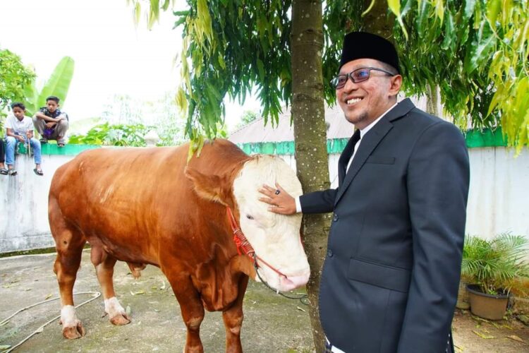 Bupati Eka Putra dan Keluarga Kurban Sapi 1 Ton 1 KURBAN SAPI— Bupati Eka Putra bersama sapi kurbannya saat pemotongan dilakukan di Masjid Muhammadyah, Pagaruyung, Senin (17/6).