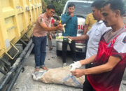 Truk Boks Tabrak Mobil, Motor dan Pekerja Bengkel, Satu Orang Tewas, 7 Luka-luka