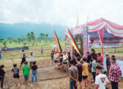 Gelar Alek Gadang, Ribuan Pecandu Buru Babi Padati Nagari Koto Kaciak