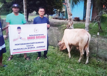 Warga Berharap Mushalla Babul Jannah tetap Jadi Penerima Sapi Kurban dari Andre Rosiade