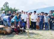 Indojalito Peduli, Bantu Hewan Kurban di Kecamatan Terdampak Bencana Banjir Bandang