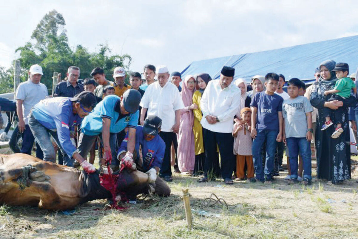 Indojalito Peduli Bantu Hewan Kurban di Kecamatan Terdampak Bencana Banjir Bandang