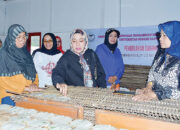 Ketua TP-PKK Agam Tinjau UMKM Kerupuk Kamang 25 Rasa