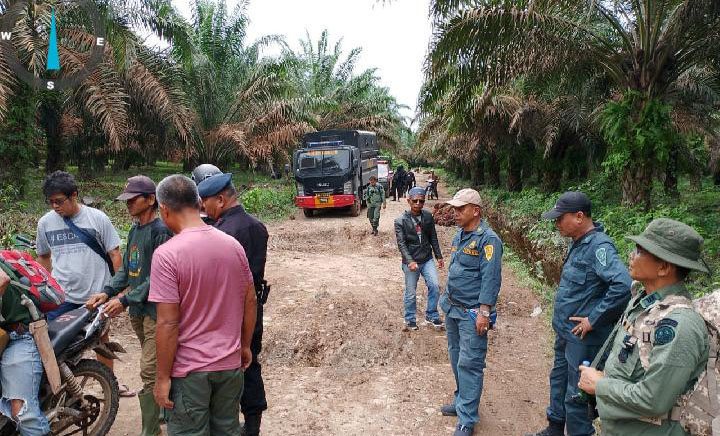 Pelaku Perambahan 1.000 Hektare Hutan secara Ilegal Ditangkap, Disulap jadi Kebun Sawit, Satu Polhut Gugur saat Operasi, KLHL Pastikan Tindak Tegas Pihak-pihak yang Terlibat 1 PERAMBAHAN HUTAN— Lokasi perambahan hutan menjadi kebun sawit ilegal di Kampung Talang Medan, Kecamatan Lunang, Kabupaten Pesisir Selatan.