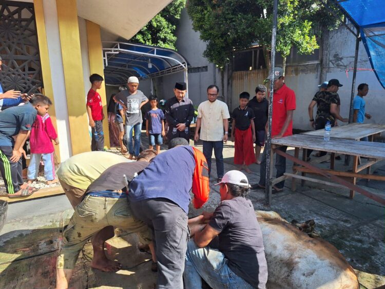 Hari Ketiga Idul Adha, 12 Sapi Disembelih 1 PENYEMBELIHAN— KegiatanpPenyembelihan hewan kurban masih berlangsung di hari kedua dan ketiga Idul Adha.