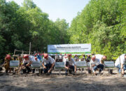 Peringati Hari Lingkungan Hidup Sedunia, Yayasan AHM Tanam Puluhan Ribu Mangrove