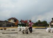 Jamin Pangan Segar, Sejumlah Penggilingan di Kota Solok sudah Diregistrasi 