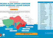 Dampak Banjir Bandang Lahar Dingin, 345,27 Ha Lahan Pertanian Rusak, Ratusan Hewan Ternak Mati