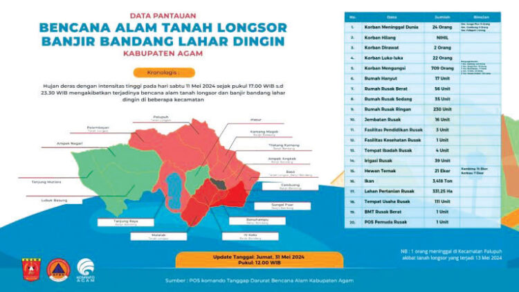 Dampak Banjir Bandang Lahar Dingin, 345,27 Ha Lahan Pertanian Rusak, Ratusan Hewan Ternak Mati 1 Update Dampak Akibat Banjir Bandang Lahar Dingin di Agam