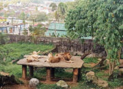 Terbatas dalam Pengembangan Lahan, Wako Tetap Dorong TMSBK Terdepan hingga Asia Tenggara