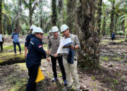 PLN dan Kementerian ESDM Peninjauan Lapangan, Site Visit dan Verifikasi Jalur ROW SUTT 150 kV Siak – Pakning Tahap 1
