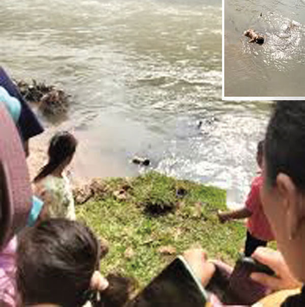 Mayat Bayi Perempuan Mengapung di Sungai 1 MAYAT BAYI— Warga menyaksikan penemuan mayat bayi perempuan di Sungai Lubuok Pabrik, Nagari Muaro Takung, Kecamatan Kamang Baru, Kabupaten Sijunjung.