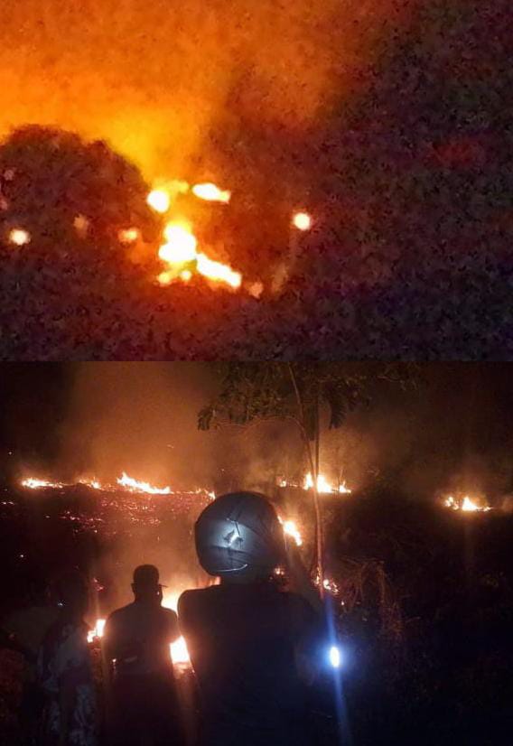 Terjadi Kebakaran Hutan di Pessel, Penyebab Pembukaan Lahan Baru, 1 Hektar lahan Terbakar 1 1d540bd4 b1e9 4bc5 8efc 3a2dae58a7b3