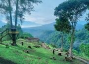 Mengenalkan Kembali Bukittinggi Setelah Jalur Utama Lembah Anai Dibuka