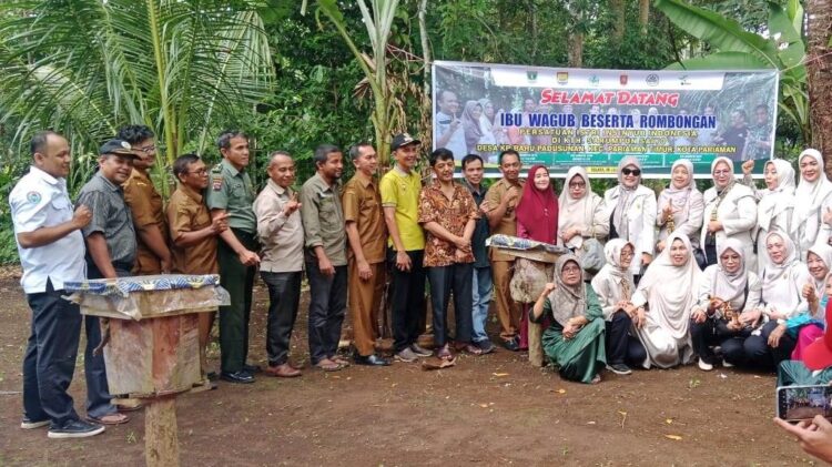 KTH Tinjau Langsung Kelompok Tani Saiyo 1 TEMU RAMAH—Kelompok Tani Hutan (KTH) Sarumpun Saiyo Desa Kampung Baru Padusunan, Kecamatan Pariaman Timur, Kota Pariaman terima kunjungan dan temu ramah Persatuan Insinyur Indonesia