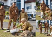 Senin Ketiga Apel Gabungan, Pemko Tanam Jeruk Gunung Omeh