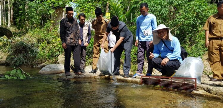 10 Ribu Bibit Ikan Nila Ditebar di Sungai Batang Sumpu 1 TEBAR BIBIT IKAN NILA— Bupati Sijunjung Benny Dwifa melepaskan sebanyak 10 ribu bibit ikan nila di Sungai Batang Sumpu, Kecamatan Sumpu Kudus.