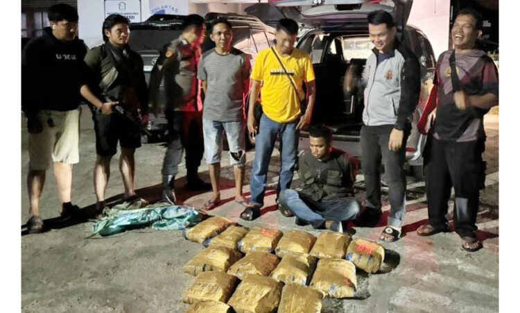16 Kg Ganja Gagal Diedarkan di Sumbar, Diciduk saat Lewat Perbatasan, Dibawa dari Panyabungan 1 GANJA— Tim Ditresnarkoba Polda Sumbar menangkap seorang kurir yang membawa 16 paket ganja dari Panyabungan, Provinsi Sumut.