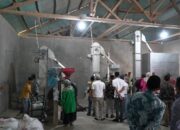 Lima Tahun Kepemimpinan Erick Thohir, Program Agriculture PLN Konsisten Majukan Petani