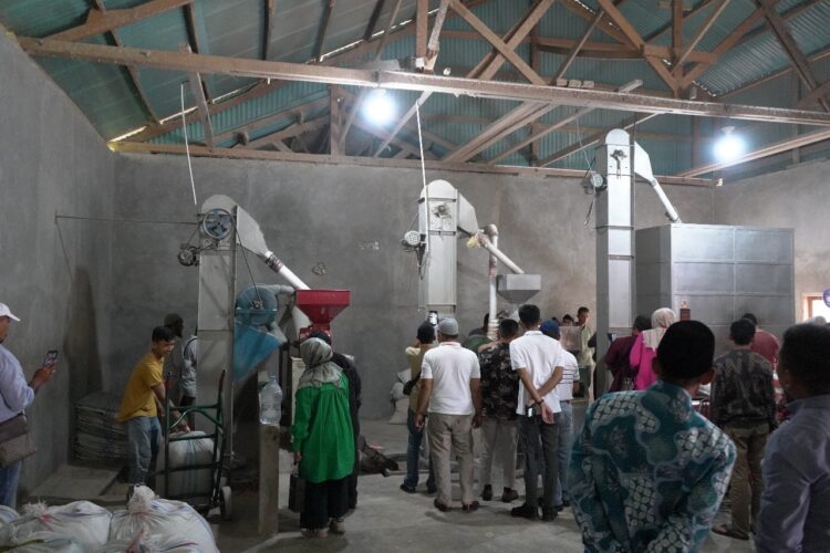 Lima Tahun Kepemimpinan Erick Thohir, Program Agriculture PLN Konsisten Majukan Petani 1 berkontribusi nyata --Lima tahun kepemimpinan Erick Thohir, PT PLN (Persero) hadir sebagai BUMN yang berkontribusi nyata pada pembangunan berkelanjutan, termasuk sektor pertanian. Program Electrifying Agriculture contohnya, konsisten memberikan dampak positif memajukan petani.