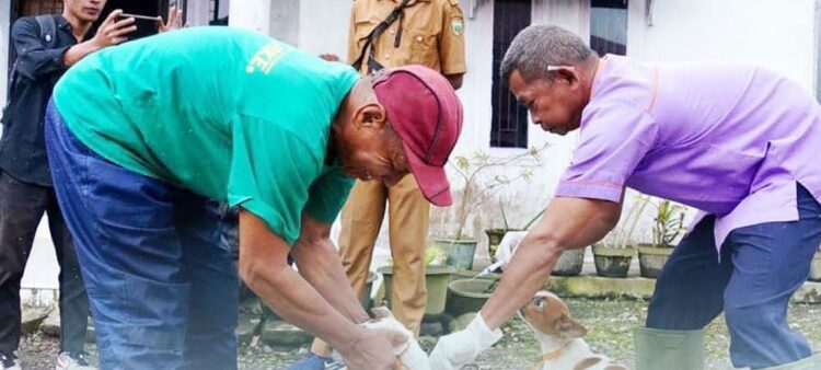 Kasus Warga Terkena Gigitan Anjing, Pemko Minta Lakukan Penanganan Mandiri dan Segera ke Faskes 1 VAKSIN RABIEs— petugas Keswan Kota Padang Panjang melakukan vaksin terhadap sejumlah anjing untuk mengantisipasi terjadinya penyakit atau penularan rabies.